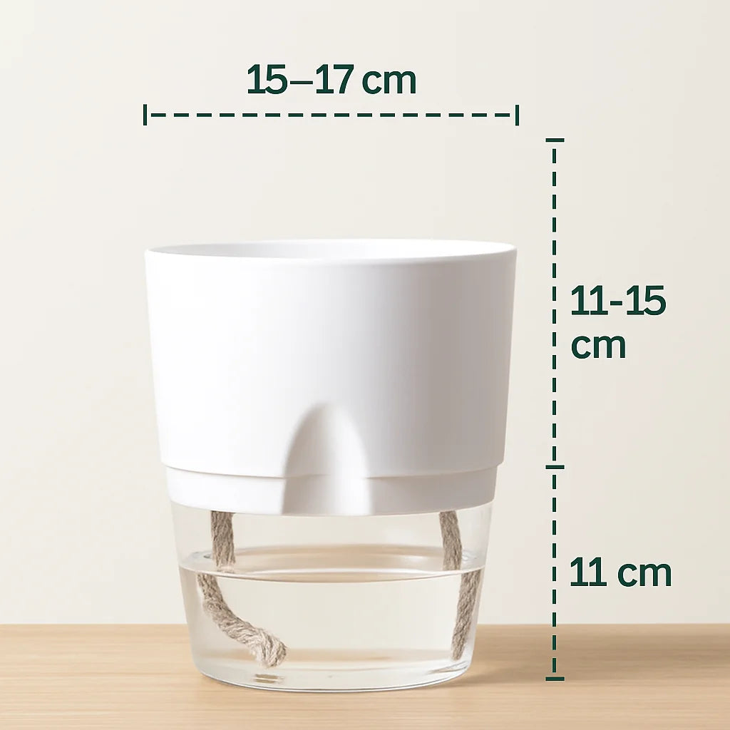 Self Watering Pot For Home & garden