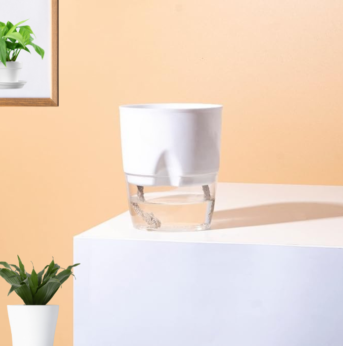 Self Watering Pot For Home & garden