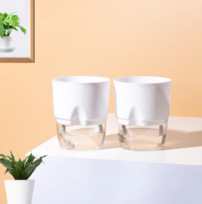 Self Watering Pot For Home & garden