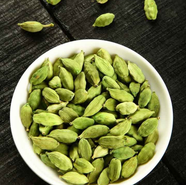 Elaichi Cardamom Spice Plant (1-2 Feet Height)