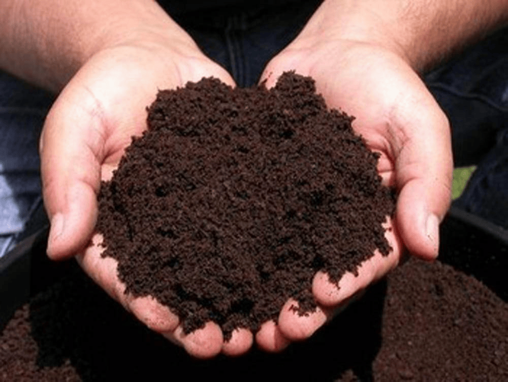Vermi Compost (Plant Food) For All Plants