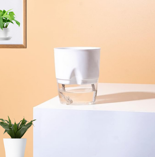 Self Watering Pot For Home & garden