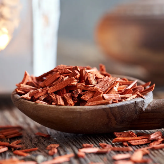 Red Sandalwood Chandan Avenue Plant (1.5-3 Feet Height) ↑