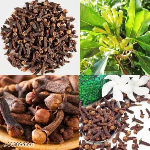 Clove (Lobongo) Plant For Home & Garden