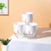 Self-Watering Pot (Pack of 3)